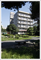 裏手の公園から会館を望む